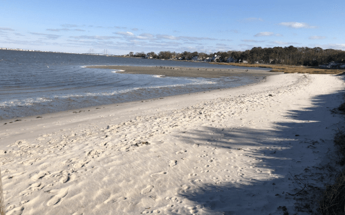 A sandy beach with gentle waves, scattered footprints, and trees in the background under a clear blue sky.
