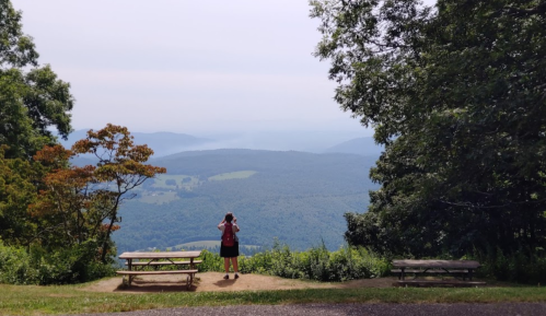 A person stands on a viewpoint overlooking a misty mountain landscape, surrounded by trees and picnic tables.