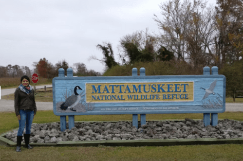 A person stands next to the Mattamuskeet National Wildlife Refuge sign, surrounded by grass and trees on a cloudy day.
