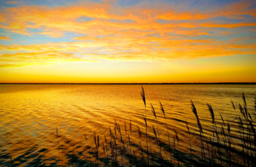 A serene sunset over a calm lake, with vibrant orange and yellow hues reflecting on the water and tall grasses in the foreground.