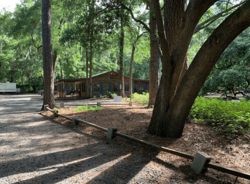 A rustic wooden building surrounded by trees and greenery, with a gravel path leading up to it.