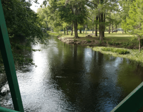 A serene river flows through a lush green landscape with trees and a picnic area in the background.