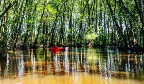 A person in a red kayak paddles through a serene, tree-lined waterway with reflections on the calm surface.