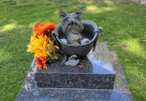 A bronze dog sculpture atop a gravestone, surrounded by vibrant yellow and orange flowers on green grass.
