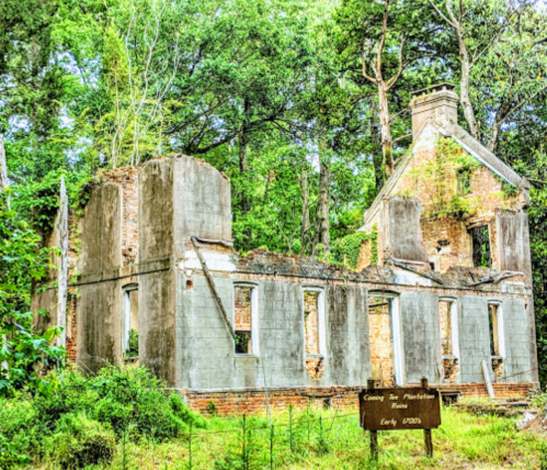 Ruins of a plantation house surrounded by trees, with a sign indicating its historical significance from the early 1900s.