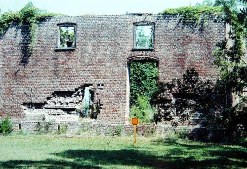 A weathered brick wall with two windows, partially covered in greenery, stands in a grassy area.