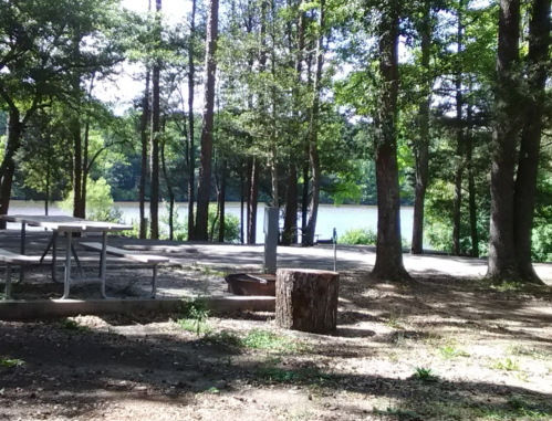 A serene lakeside view surrounded by trees, with a picnic area and a log in the foreground.