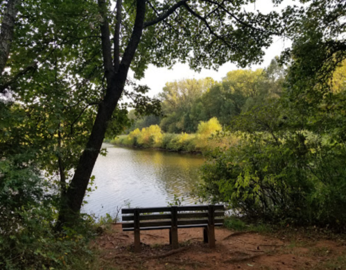 A serene view of a river surrounded by trees, with a wooden bench in the foreground.
