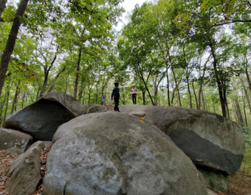 Three people stand on large rocks in a wooded area, surrounded by green trees and a cloudy sky.