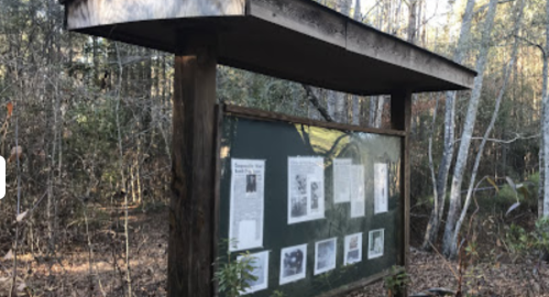A wooden information board in a forest, displaying various photographs and text, surrounded by trees.