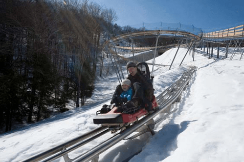 A child and adult enjoy a snowy alpine coaster ride on a sunny day, surrounded by trees and a winding track.