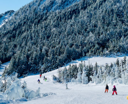 Skiers navigate a snowy slope surrounded by evergreen trees and mountains under a clear blue sky.