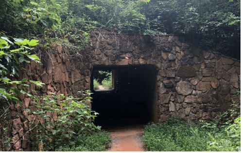 A stone archway leads into a dark tunnel, surrounded by lush greenery and overgrown plants.