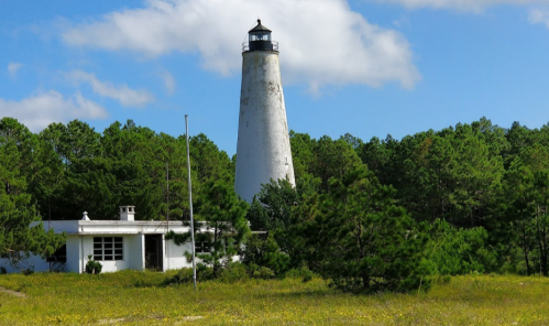 A tall lighthouse stands among green trees and wildflowers under a blue sky with scattered clouds.