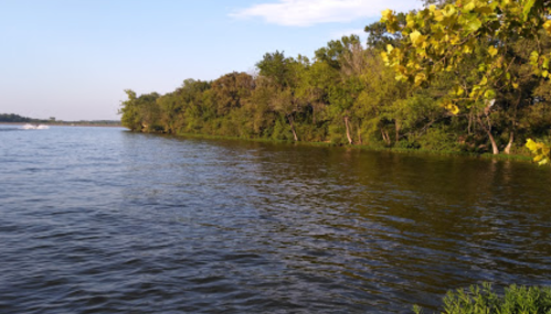 A serene river scene with lush green trees lining the banks under a clear blue sky.