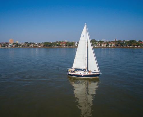 A sailboat glides across calm waters with a clear blue sky and a distant shoreline in the background.