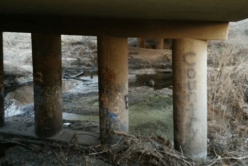Graffiti-covered concrete pillars support a bridge over a shallow, muddy stream surrounded by dry vegetation.