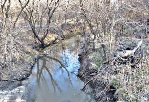 A serene creek flows through a wooded area, reflecting trees and bare branches in the calm water.