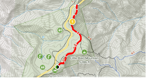 Map showing a section of road with elevation details, landmarks, and hiking trails near Little Bald Mountain.