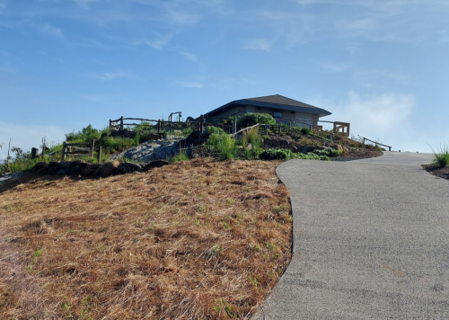 A winding path leads up a grassy hill to a small house surrounded by a wooden fence under a clear blue sky.