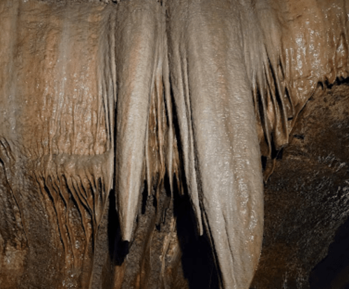 Stalactites hanging from a cave ceiling, showcasing smooth, elongated formations with a glossy surface.