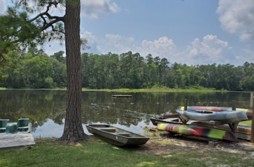 A serene lakeside view with boats, a tree, and lush greenery under a partly cloudy sky.