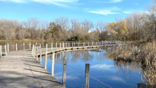 A wooden walkway extends over calm water, surrounded by trees and autumn foliage under a clear blue sky.