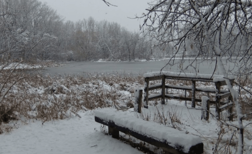 A snowy landscape featuring a frozen river and a wooden bench surrounded by trees and tall grass.