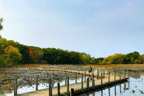 A wooden boardwalk stretches over a calm lake, surrounded by trees with autumn foliage.