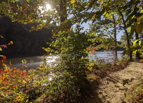 A serene river scene framed by colorful autumn leaves and sunlight filtering through the trees.