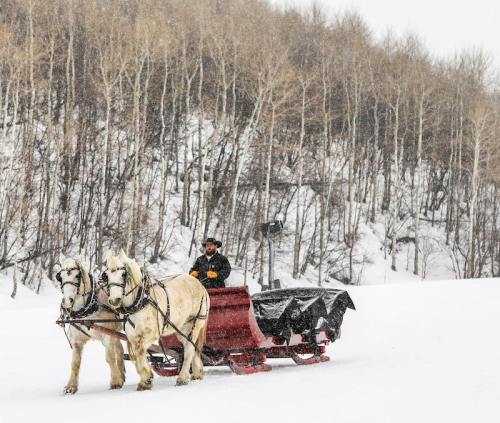 A horse-drawn sleigh travels through a snowy landscape, with trees in the background and a person guiding the horses.