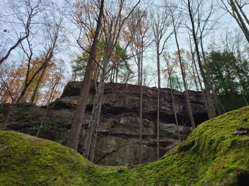 A rocky cliff rises above a forest floor covered in moss, surrounded by tall trees and autumn foliage.