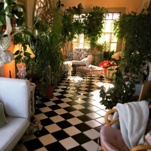A cozy room filled with lush plants, featuring a checkered floor, comfortable seating, and natural light.