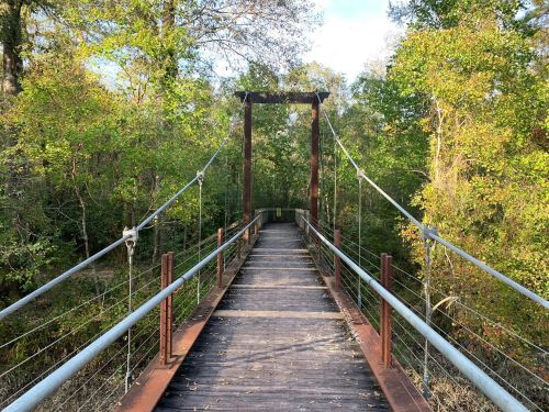 A wooden suspension bridge surrounded by lush green trees and foliage, leading into a serene natural setting.
