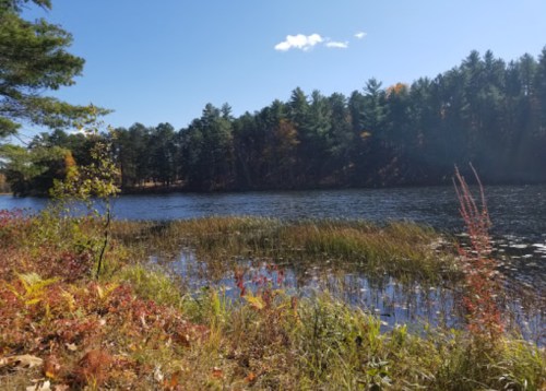 A serene lake surrounded by trees and colorful autumn foliage under a clear blue sky.