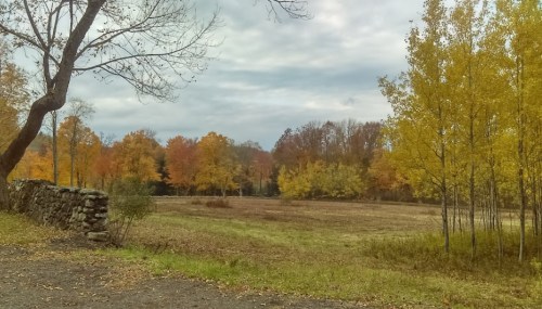 A serene landscape featuring a grassy field surrounded by trees with autumn foliage under a cloudy sky.