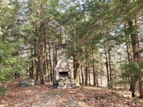 A stone chimney stands among tall trees in a wooded area, with fallen leaves scattered on the ground.