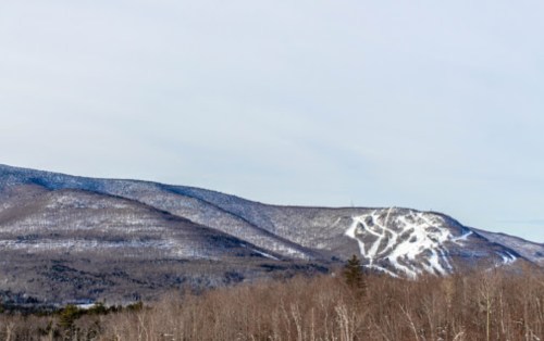 Snow-covered mountains with ski trails visible, surrounded by bare trees under a clear sky.