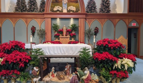 A decorated altar with a nativity scene, surrounded by red poinsettias and Christmas trees in a church setting.