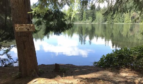 A serene lake view with a sign reading "Swimming Hole" beside a tree, surrounded by lush greenery and reflections on the water.