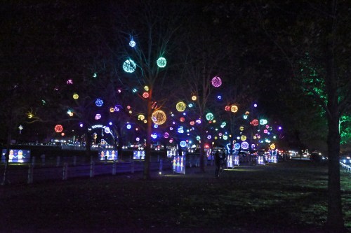 Colorful illuminated orbs hang from trees in a park at night, creating a festive atmosphere.