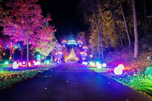 A brightly lit pathway leads to a festive tree, surrounded by colorful lights and trees at night.