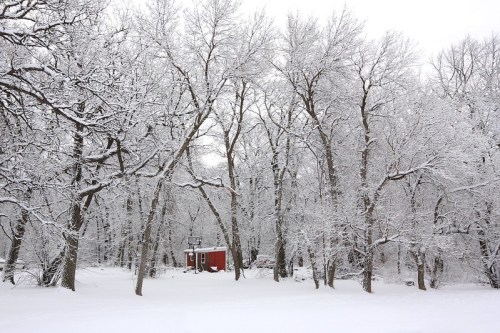 A small red cabin surrounded by snow-covered trees in a winter landscape.