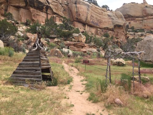 A rustic wooden structure resembling a teepee stands beside a path in a rocky, grassy landscape with trees.
