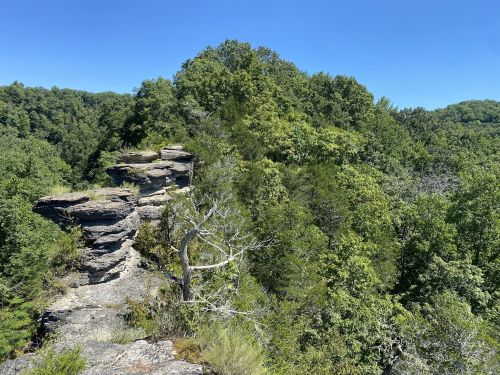 A rocky cliff surrounded by lush green trees under a clear blue sky.