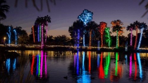 Colorful lights adorn palm trees by a calm water body at dusk, creating a vibrant reflection in the water.