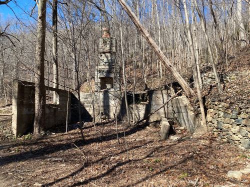 Ruins of a stone structure in a wooded area, with a chimney and surrounding trees, on a sunny day.