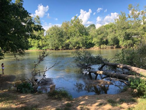 A serene river scene with lush greenery, fallen trees, and a person standing by the water's edge under a blue sky.