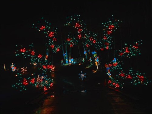 A festive display of red, green, and blue lights decorating trees and pathways in a dark, nighttime setting.