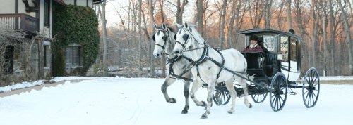 A horse-drawn carriage with two white horses travels through a snowy landscape near a house surrounded by trees.